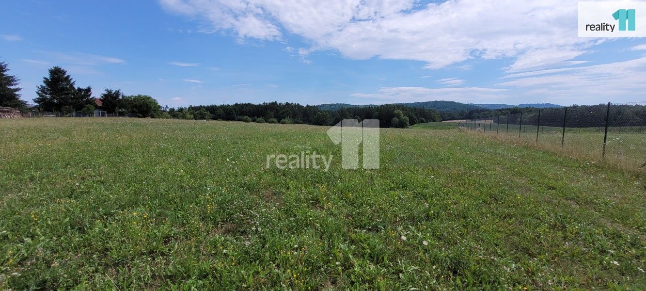 Prodej pozemku 4210 m² - foto 13