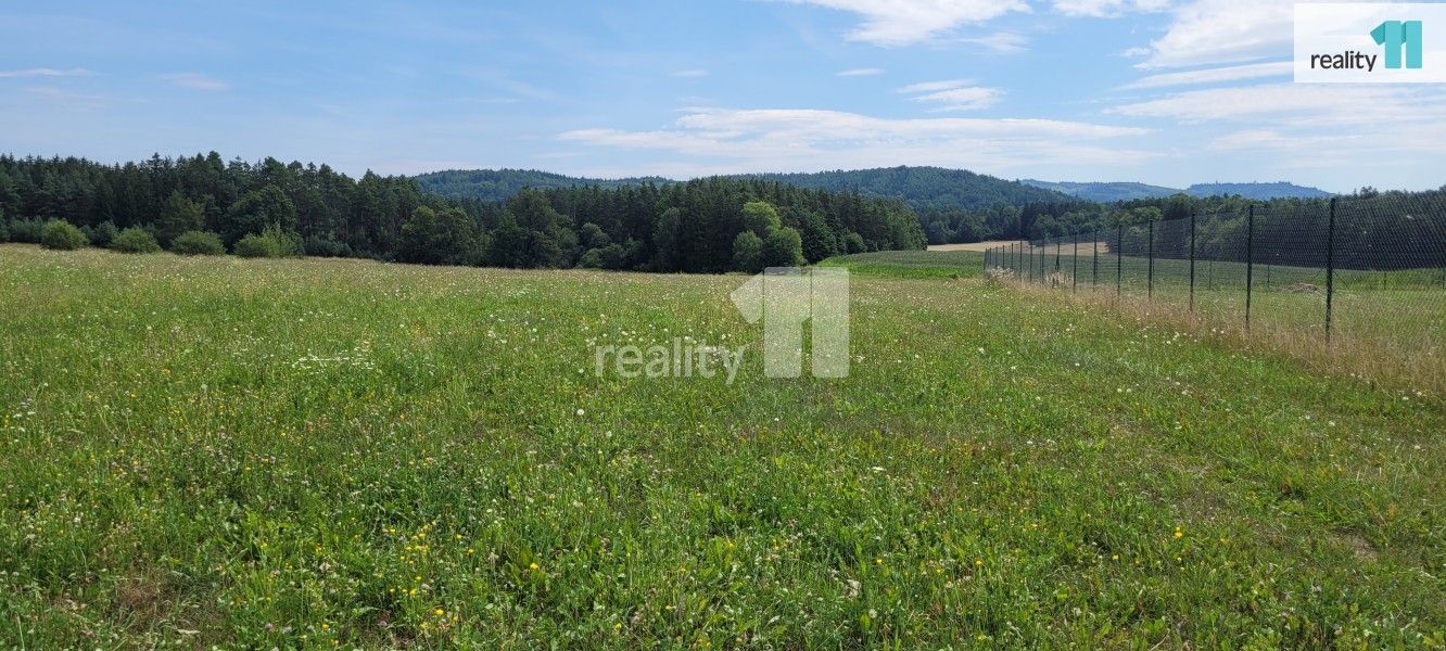 Prodej pozemku 4210 m² - foto 14