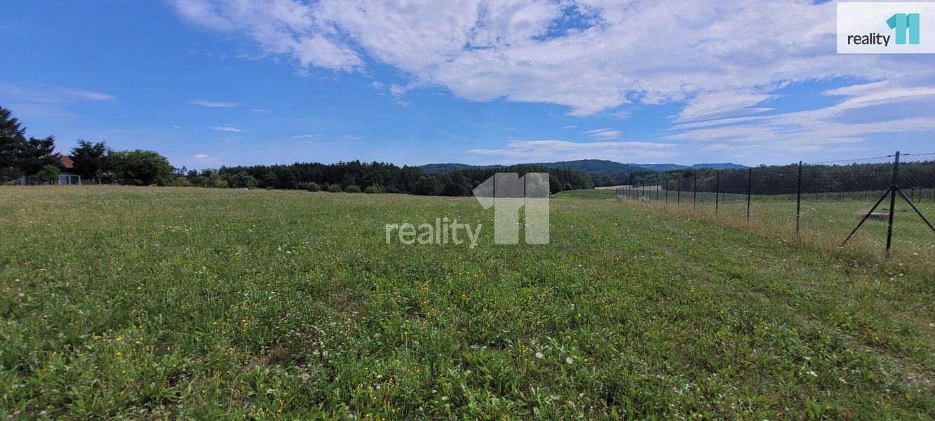Prodej pozemku 4210 m² - foto 15