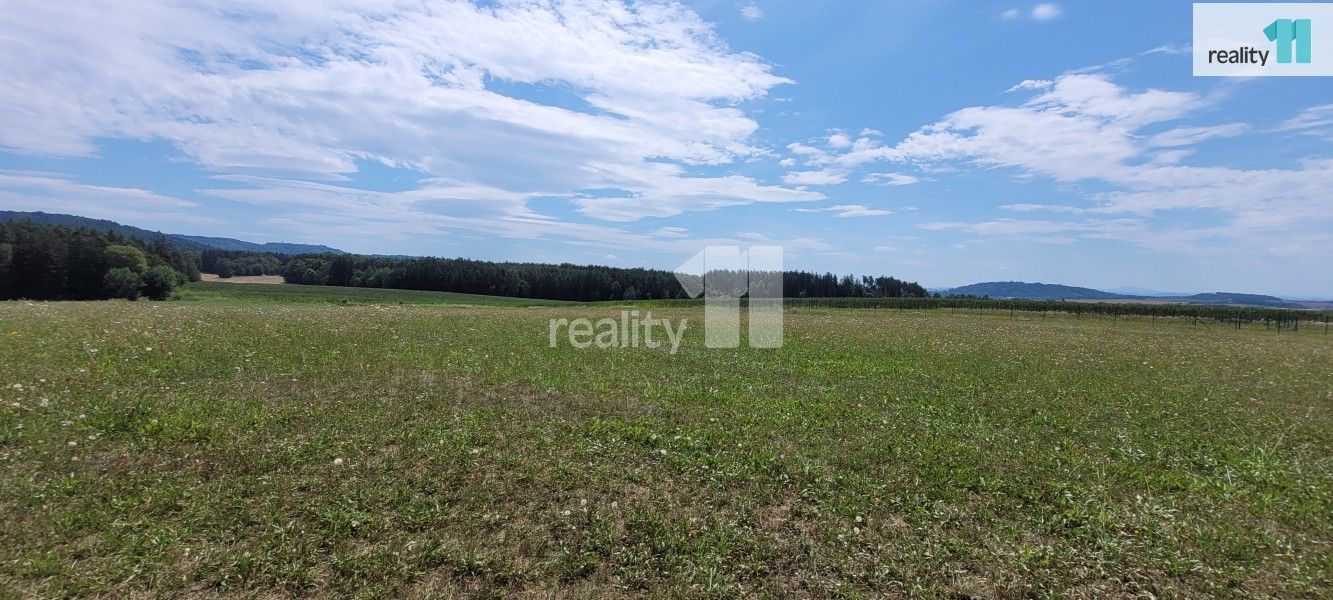 Prodej pozemku 4210 m² - foto 25