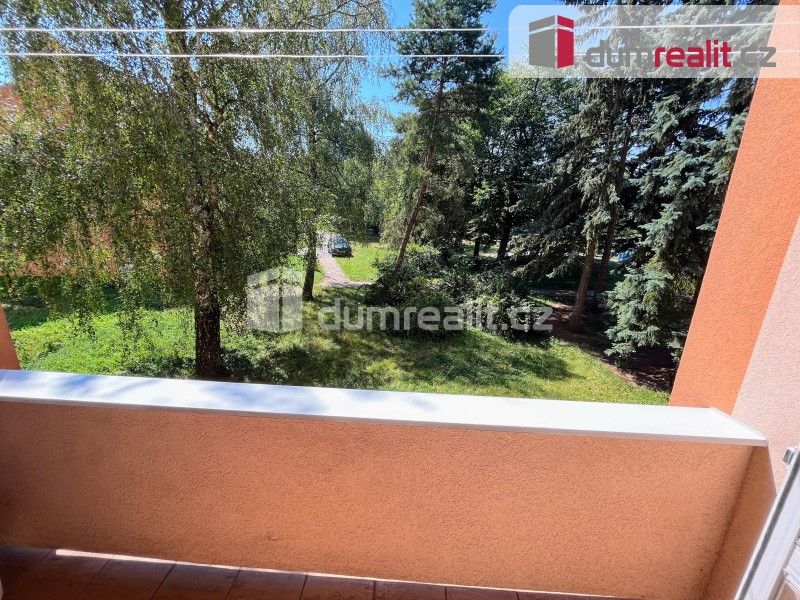 Pronájem bytu 3+1 70 m² - foto 4