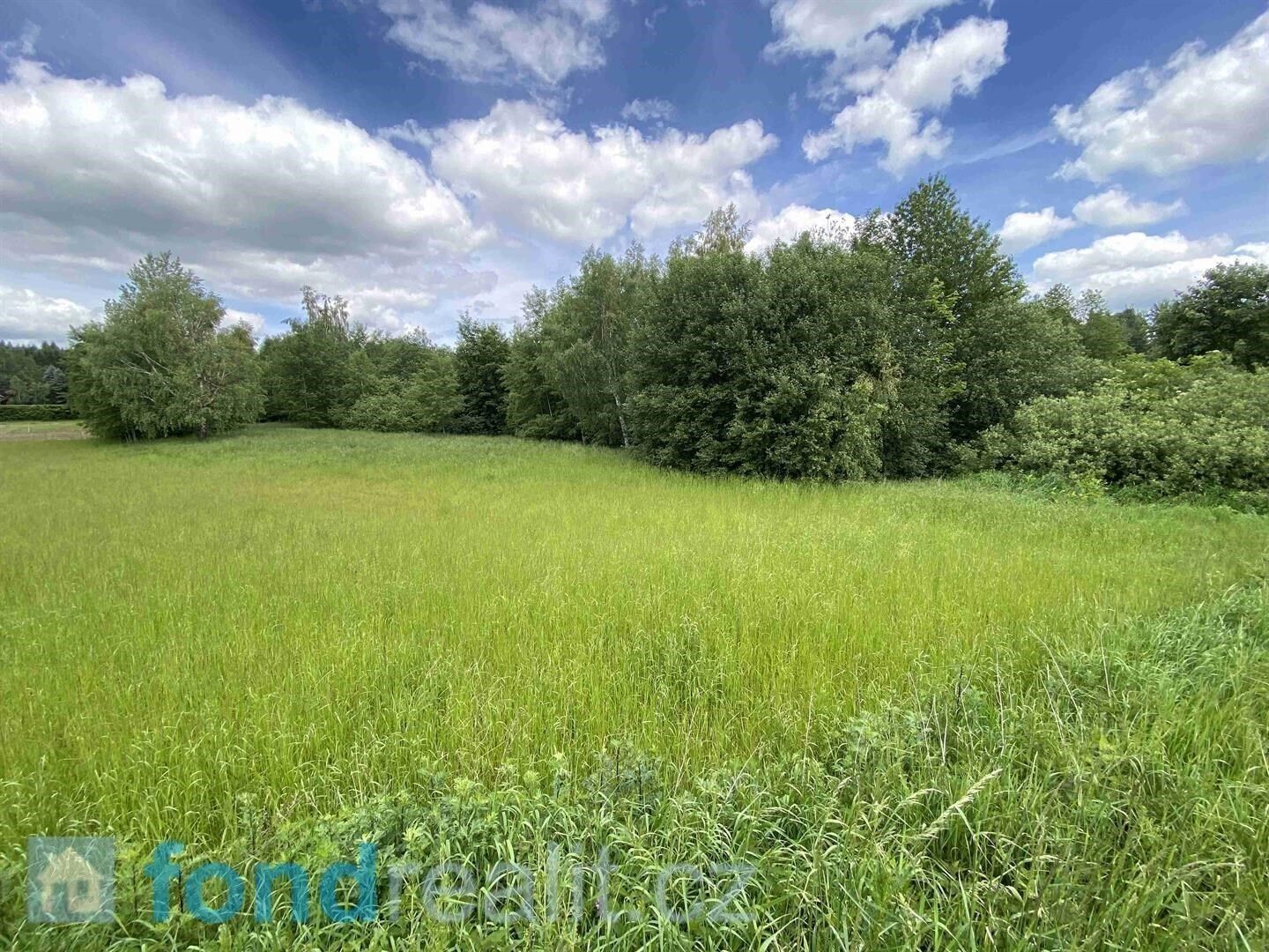 Prodej nemovitosti 7893 m² - foto 2