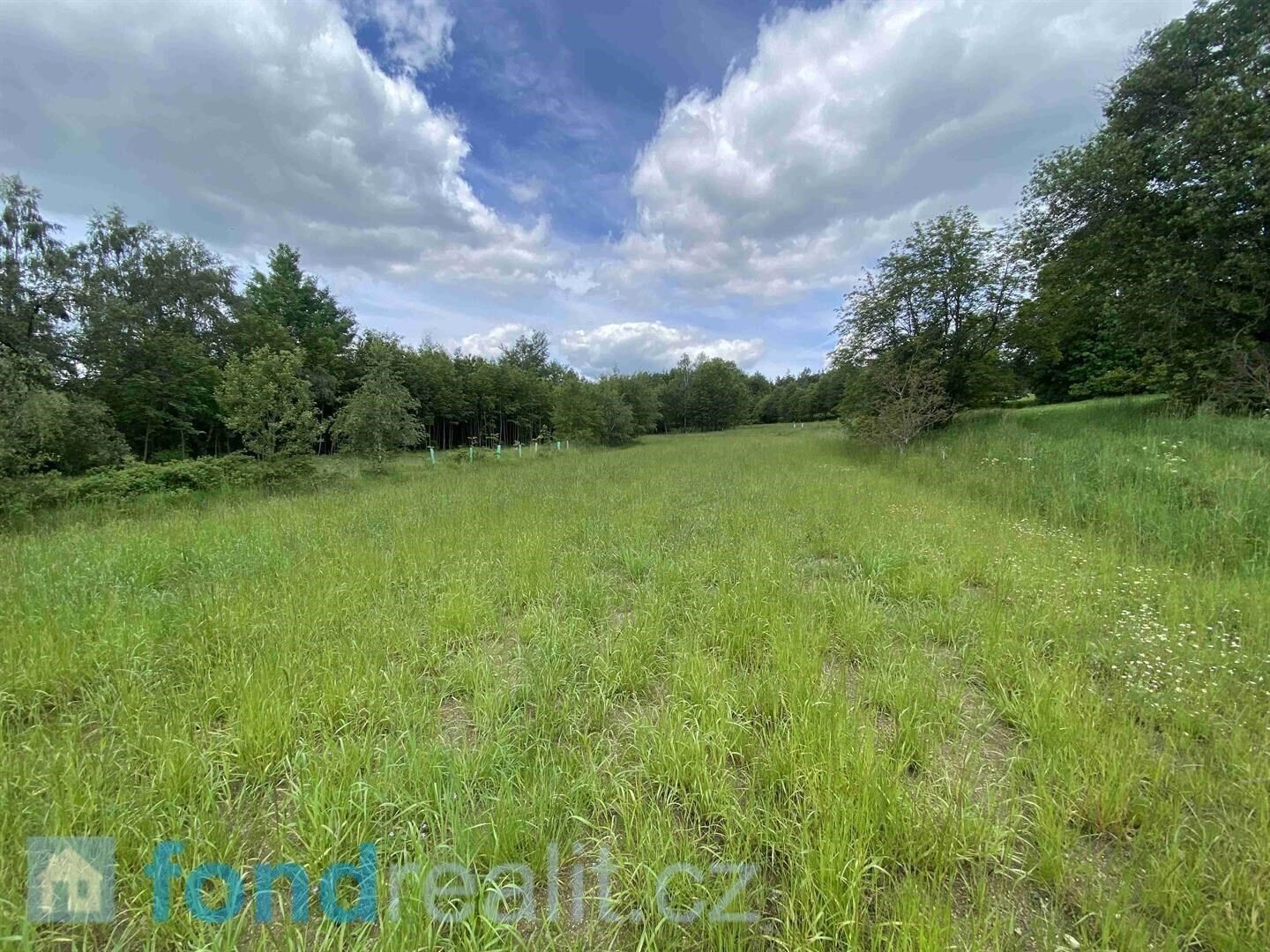 Prodej nemovitosti 7893 m² - foto 3