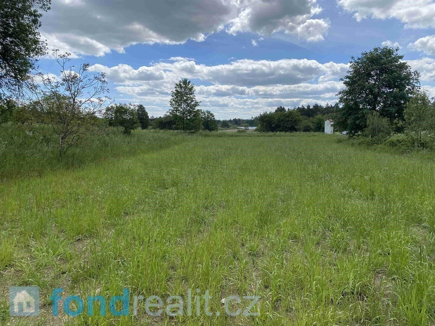 Prodej nemovitosti 7893 m² - foto 4