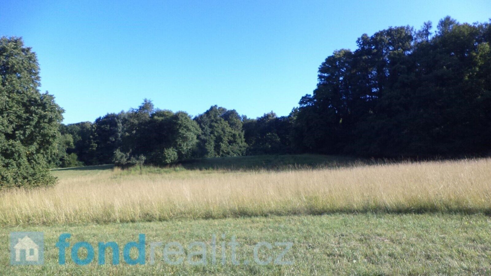 Prodej nemovitosti 3636 m² - foto 3
