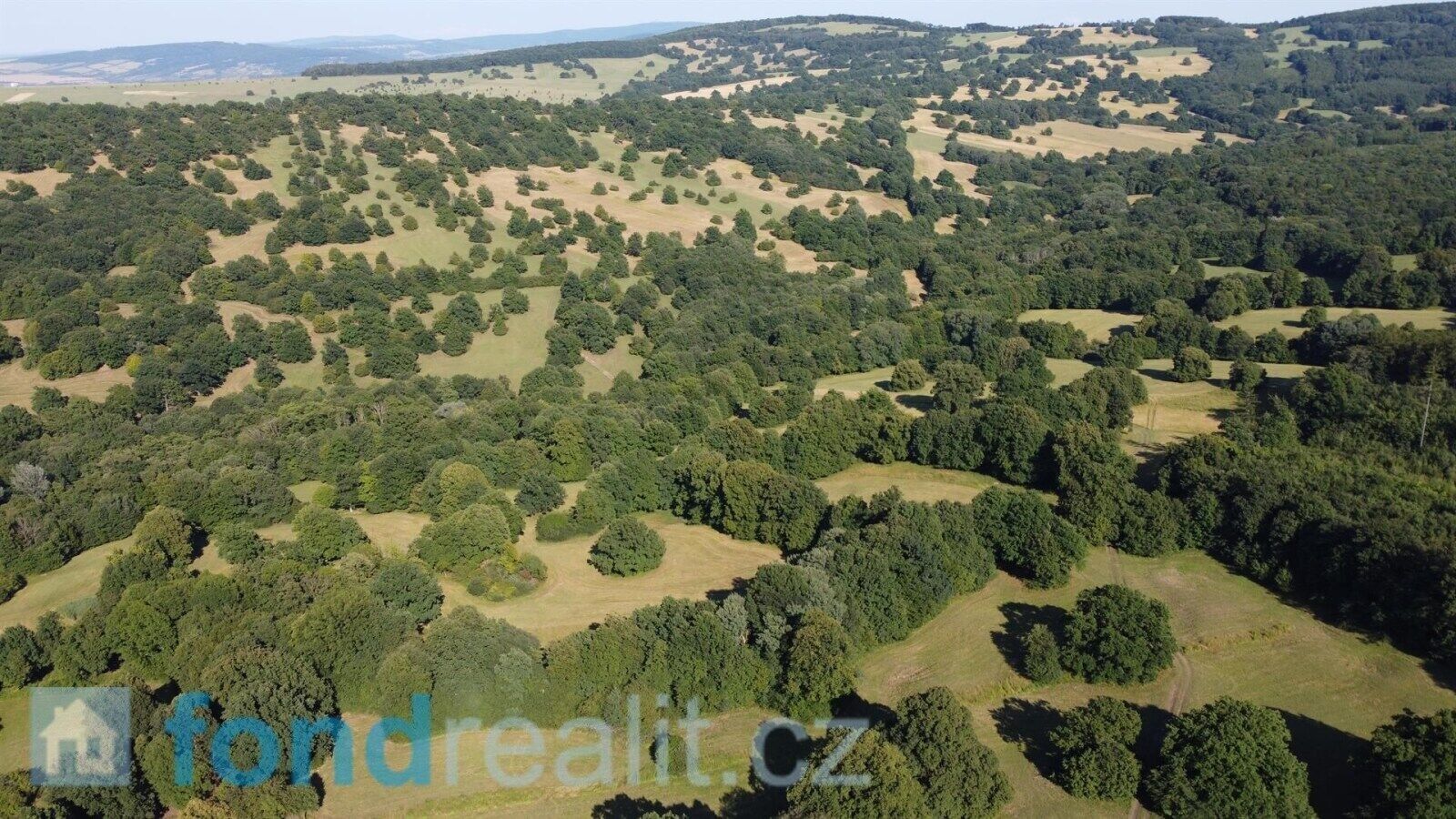Prodej nemovitosti 3636 m² - foto 6
