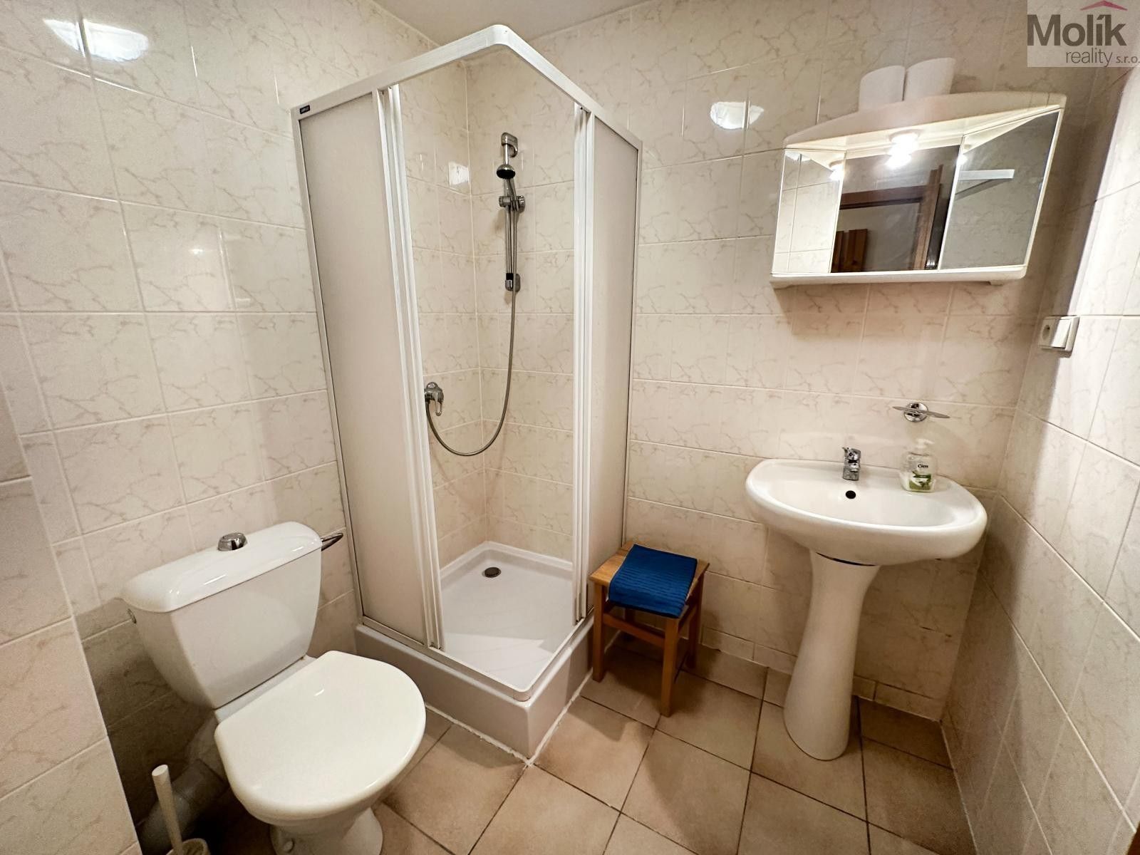 Pronájem komerčního prostoru 980 m² - foto 11