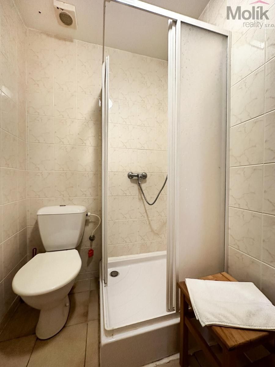 Pronájem komerčního prostoru 980 m² - foto 25