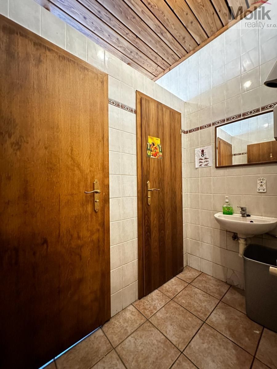 Pronájem komerčního prostoru 980 m² - foto 29