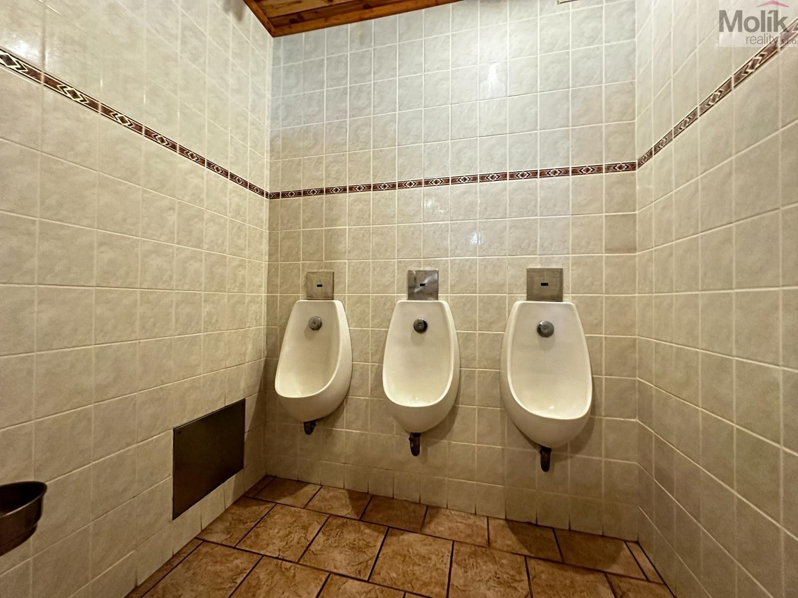 Pronájem komerčního prostoru 980 m² - foto 30