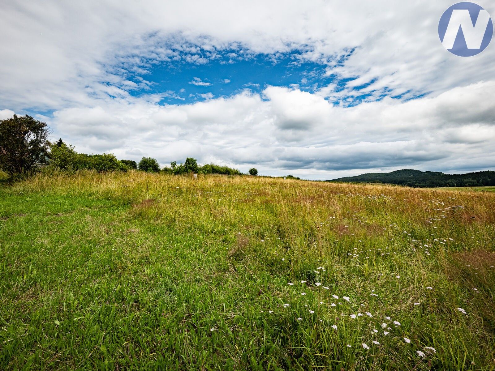 Prodej pozemku 1193 m² - foto 5