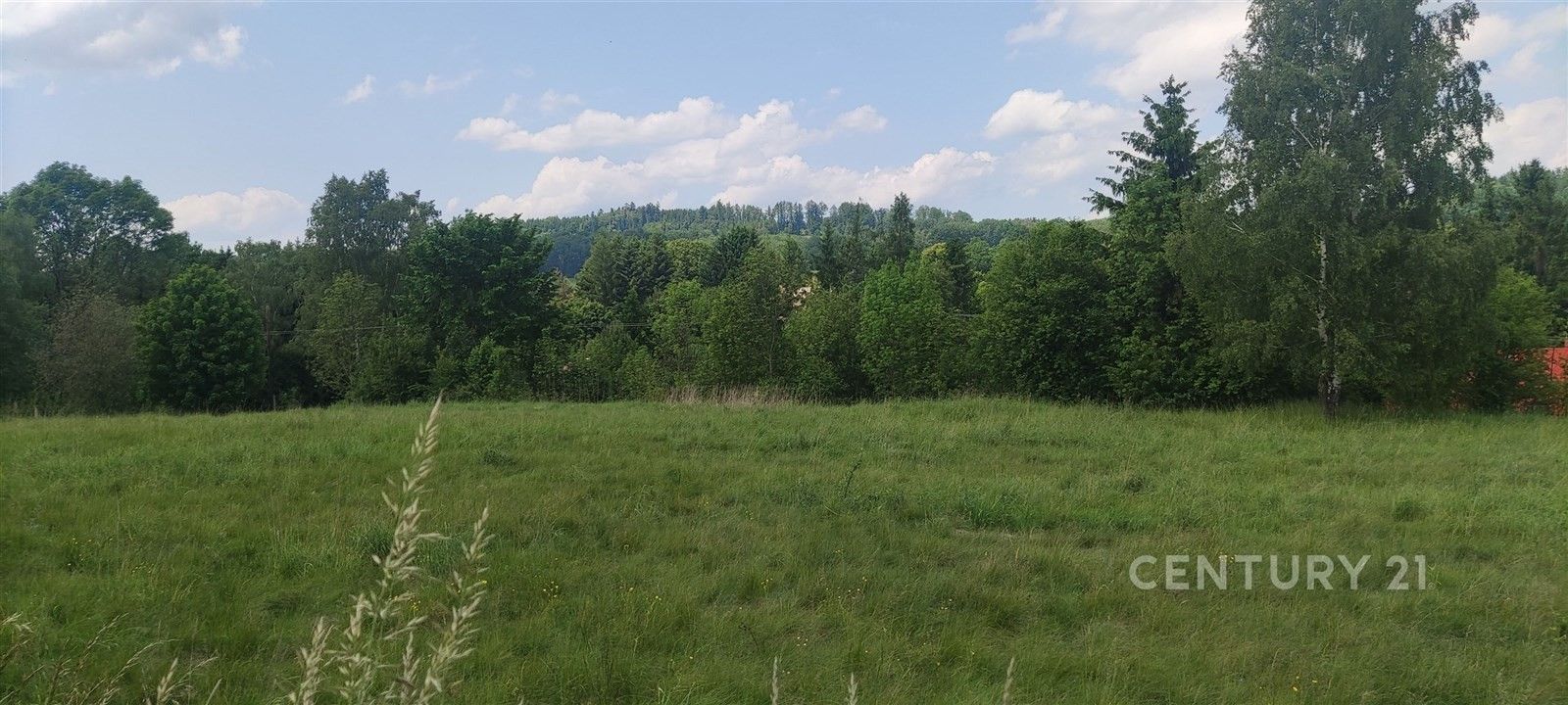 Prodej pozemku 1262 m² - foto 1
