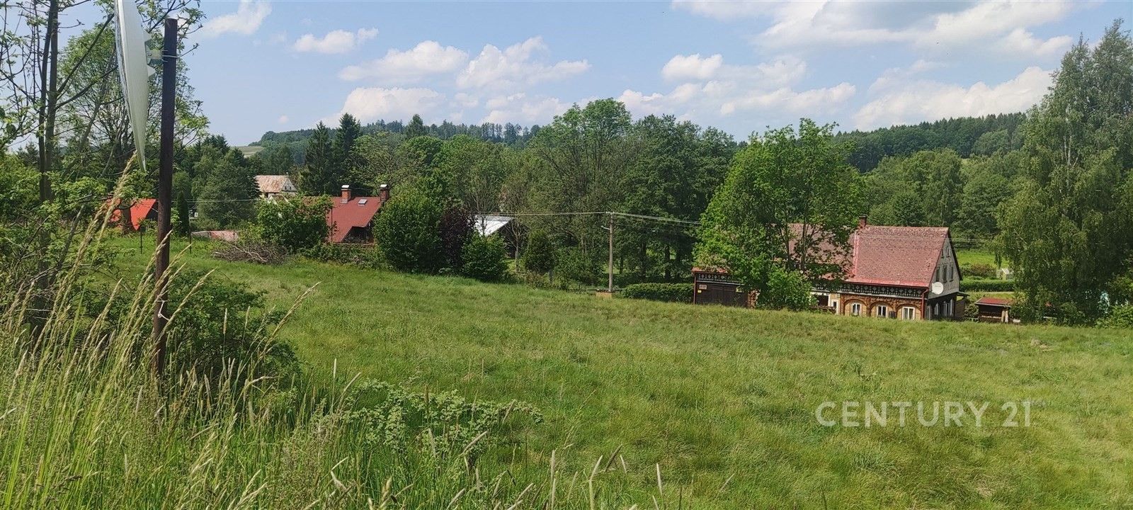 Prodej pozemku 1262 m² - foto 5
