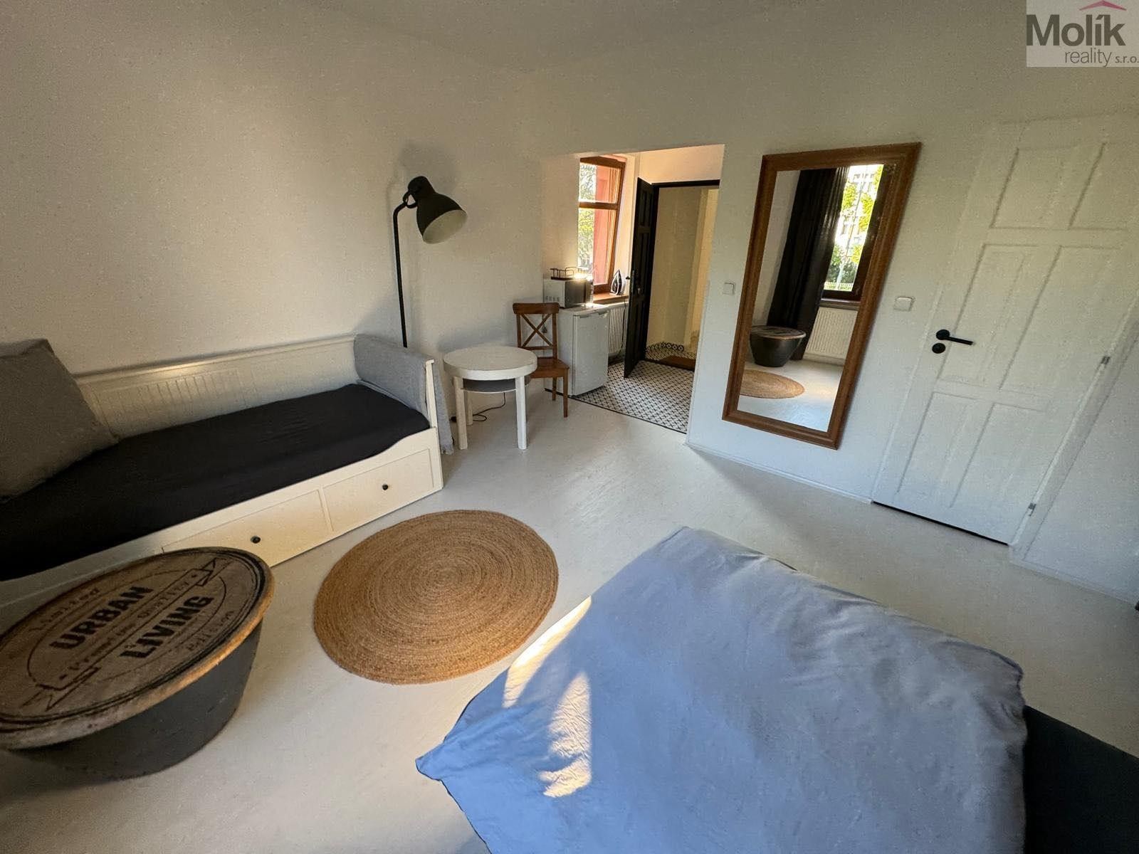 Pronájem bytu 1+1 31 m² - foto 6
