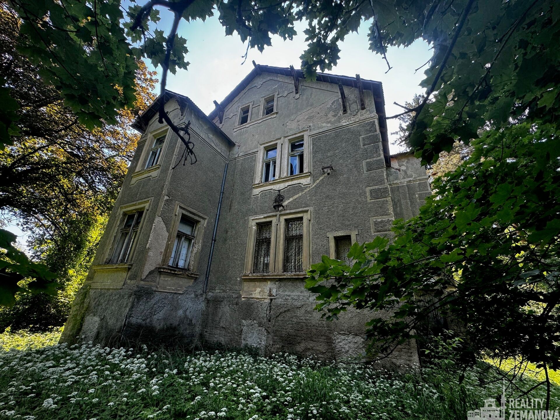 Prodej pozemku 7834 m² - foto 3