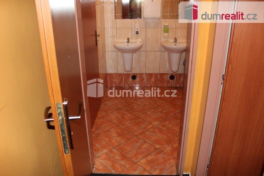 Pronájem komerčního prostoru 145 m² - foto 11