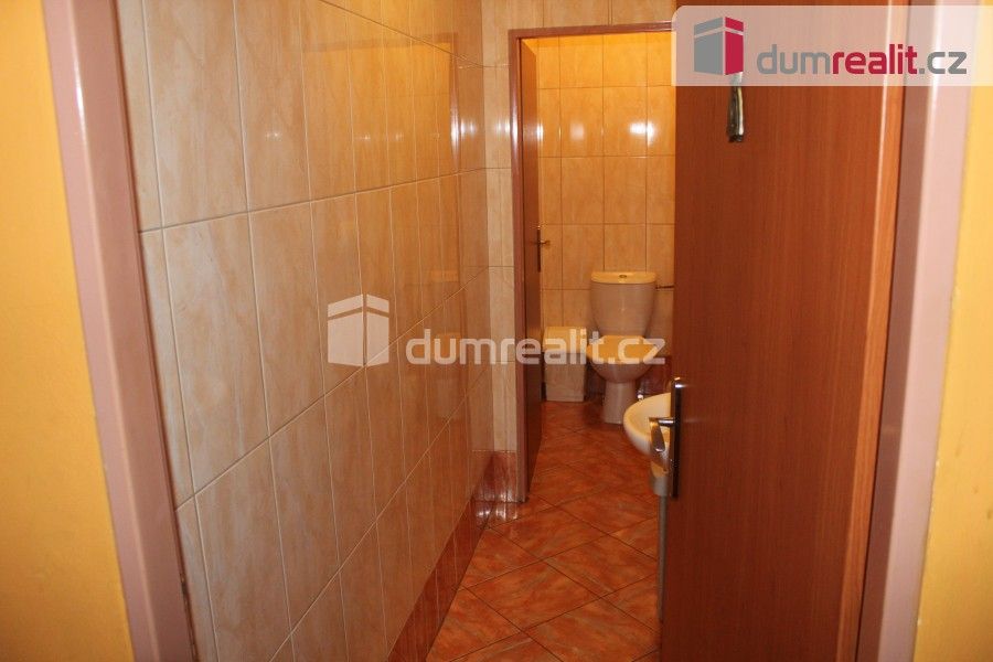 Pronájem komerčního prostoru 145 m² - foto 10