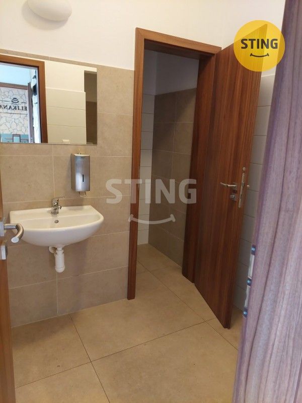 Pronájem komerčního prostoru 108 m² - foto 18