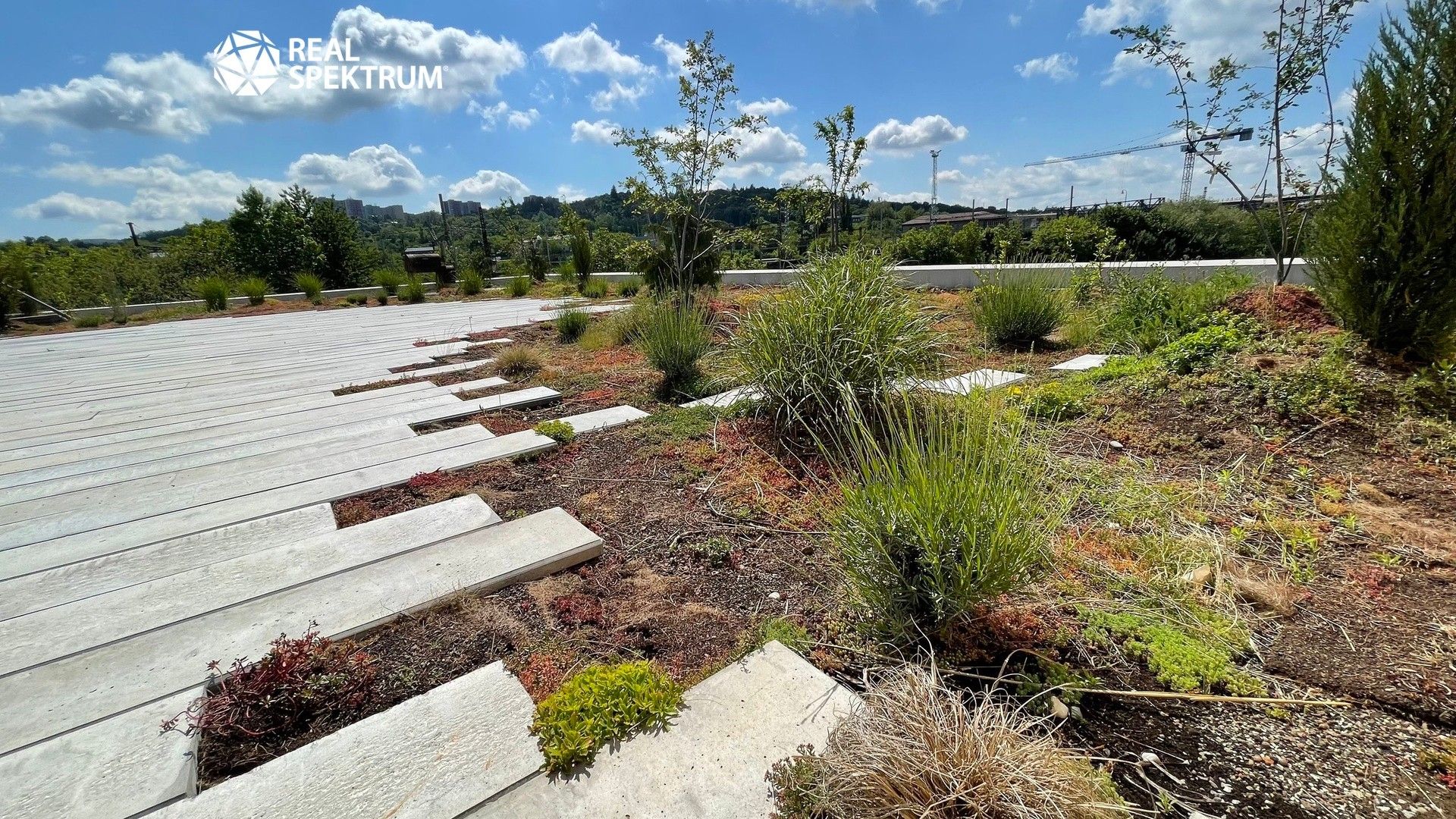 Pronájem komerčního prostoru 140 m² - foto 9