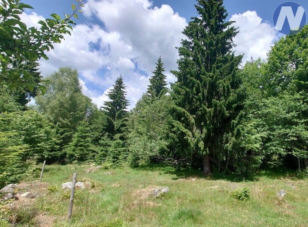 Prodej nemovitosti 607 m² - foto 1