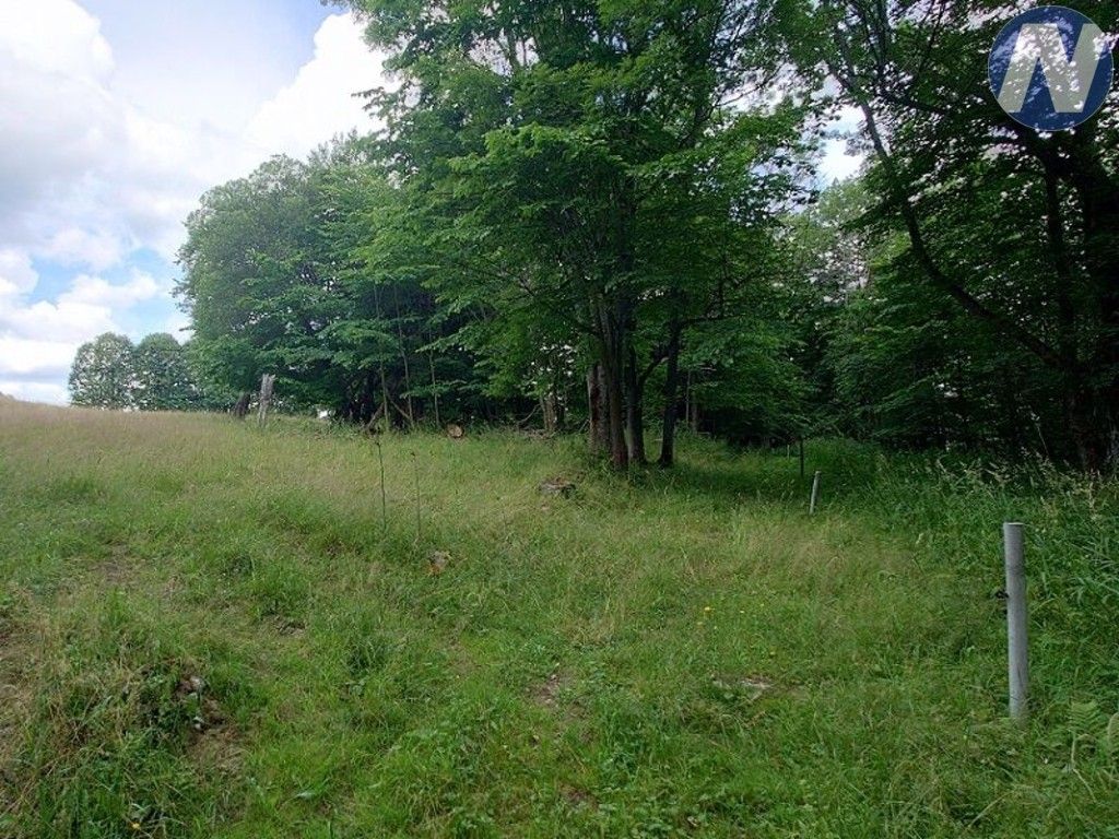 Prodej nemovitosti 607 m² - foto 4