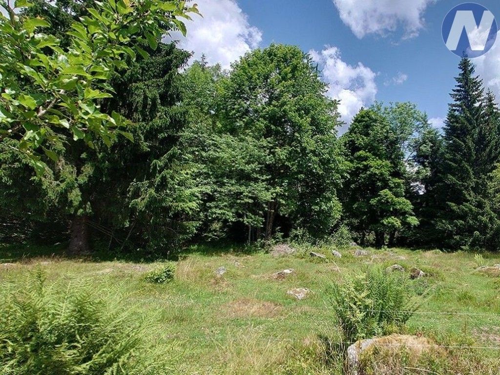Prodej nemovitosti 607 m² - foto 5
