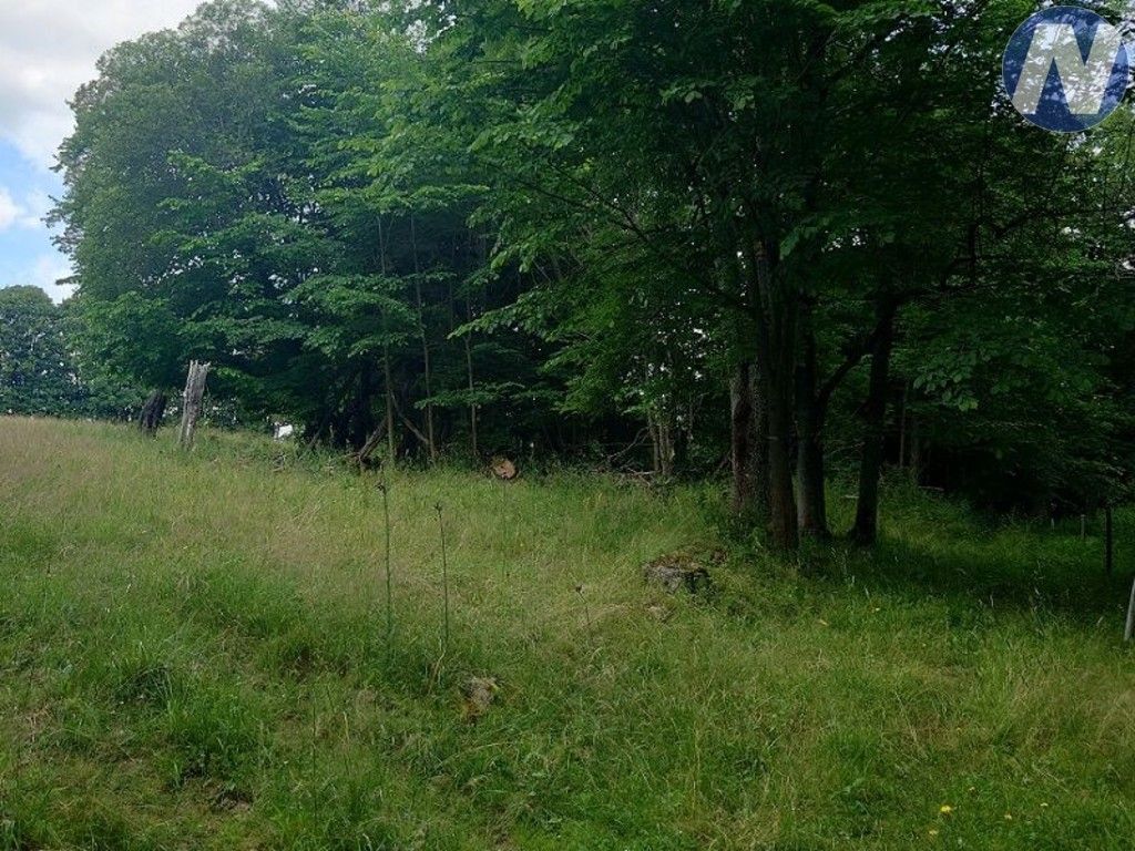 Prodej nemovitosti 607 m² - foto 6