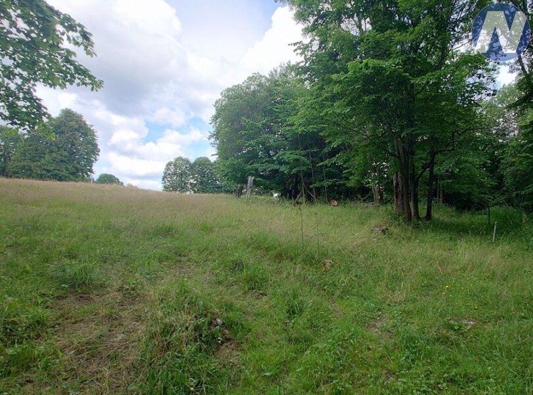 Prodej nemovitosti 607 m² - foto 7