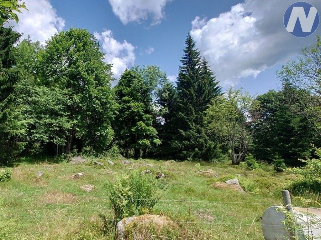 Prodej nemovitosti 607 m² - foto 8