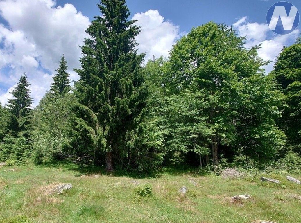 Prodej nemovitosti 607 m² - foto 9