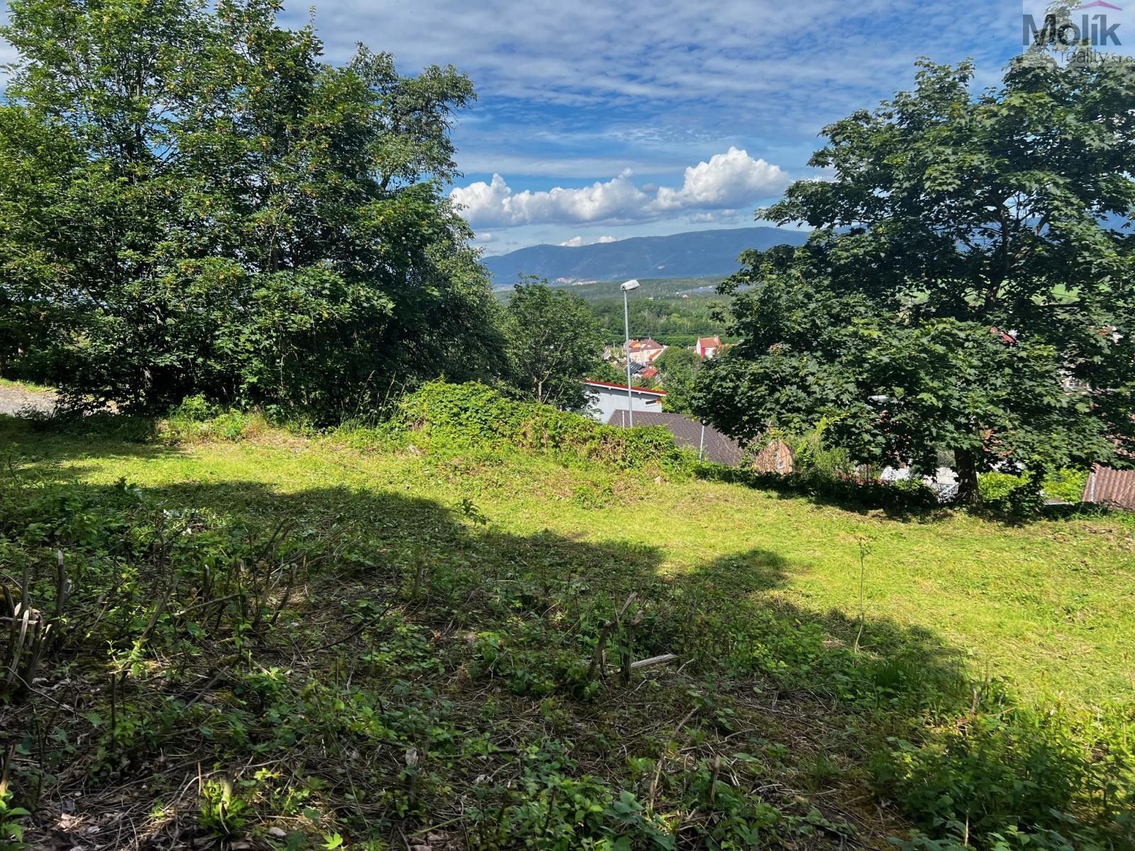 Prodej pozemku 1463 m² - foto 4
