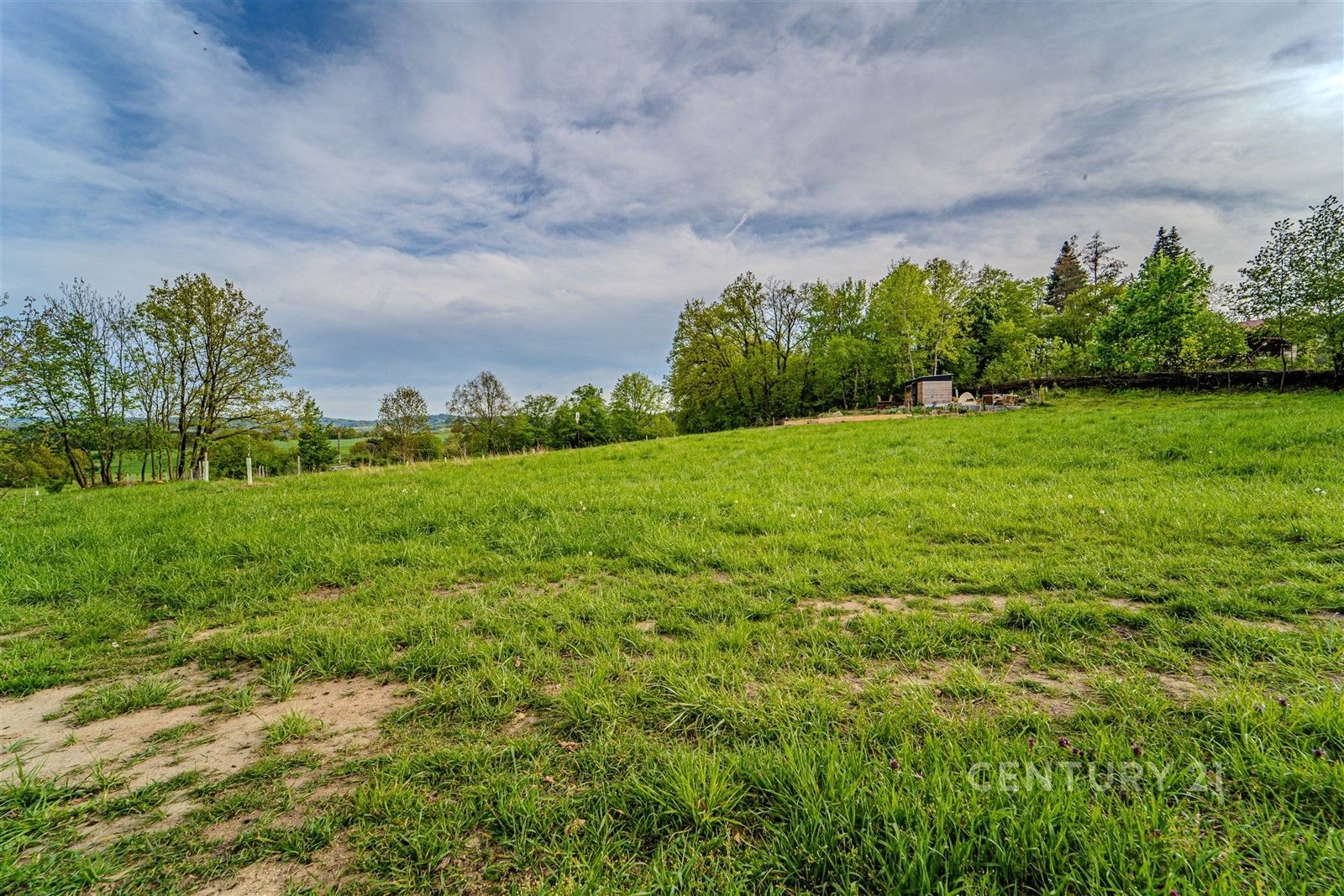 Prodej pozemku 3010 m² - foto 4