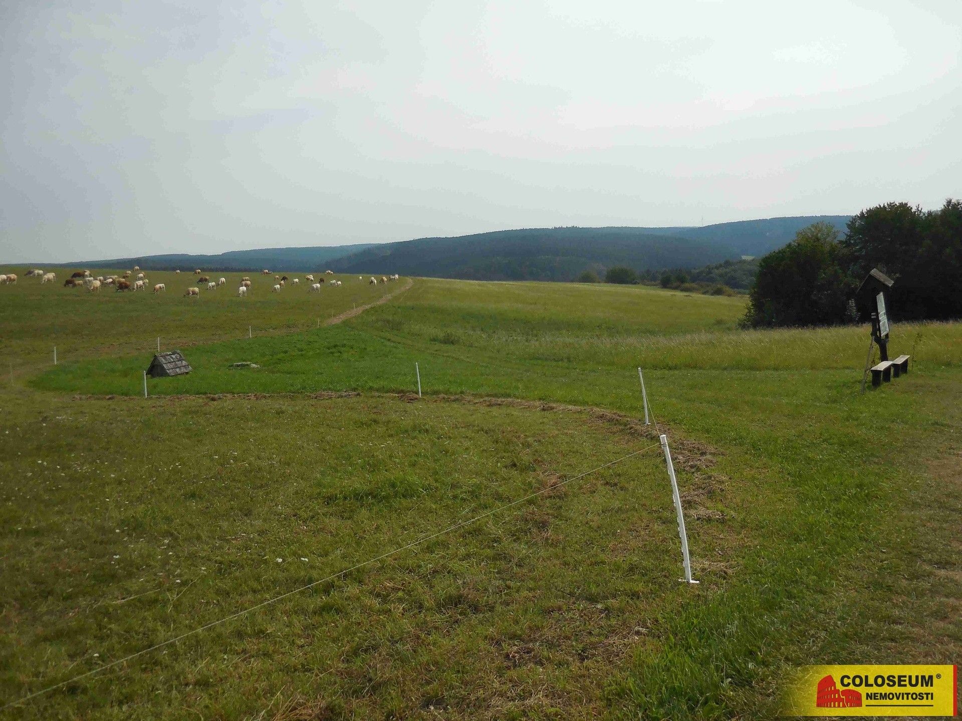 Prodej pozemku 12004 m² - foto 5