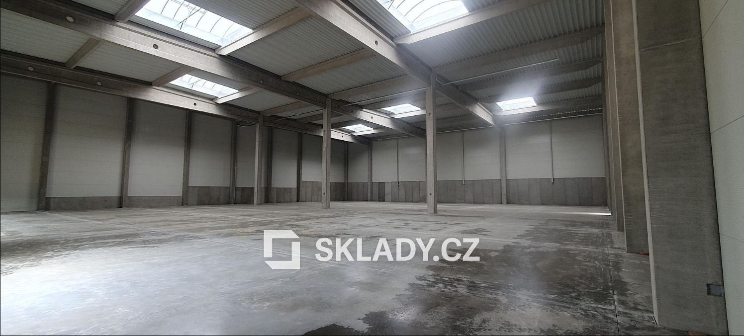 Pronájem komerčního prostoru 1000 m² - foto 5