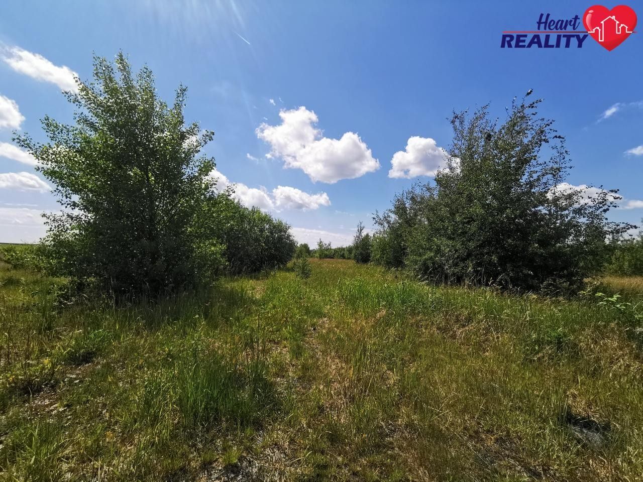 Prodej pozemku 32430 m² - foto 9