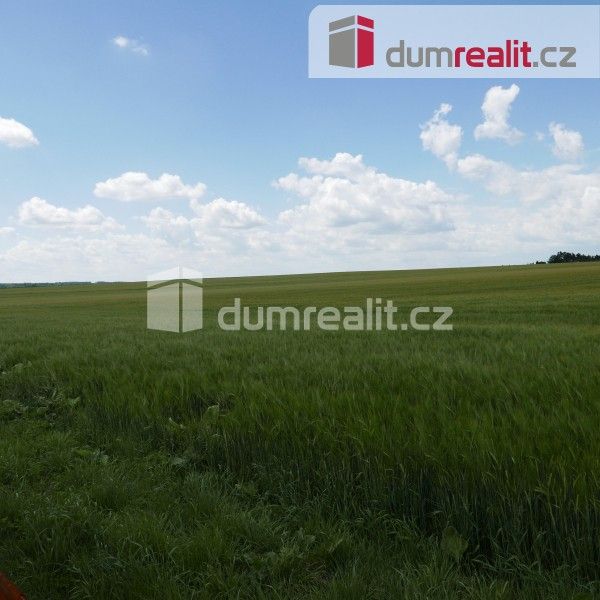 Prodej pozemku 11679 m² - foto 6