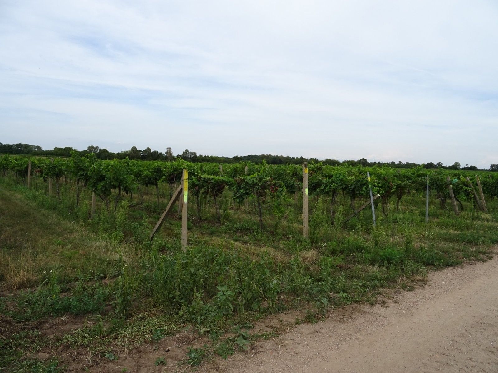 Prodej nemovitosti 7741 m² - foto 2