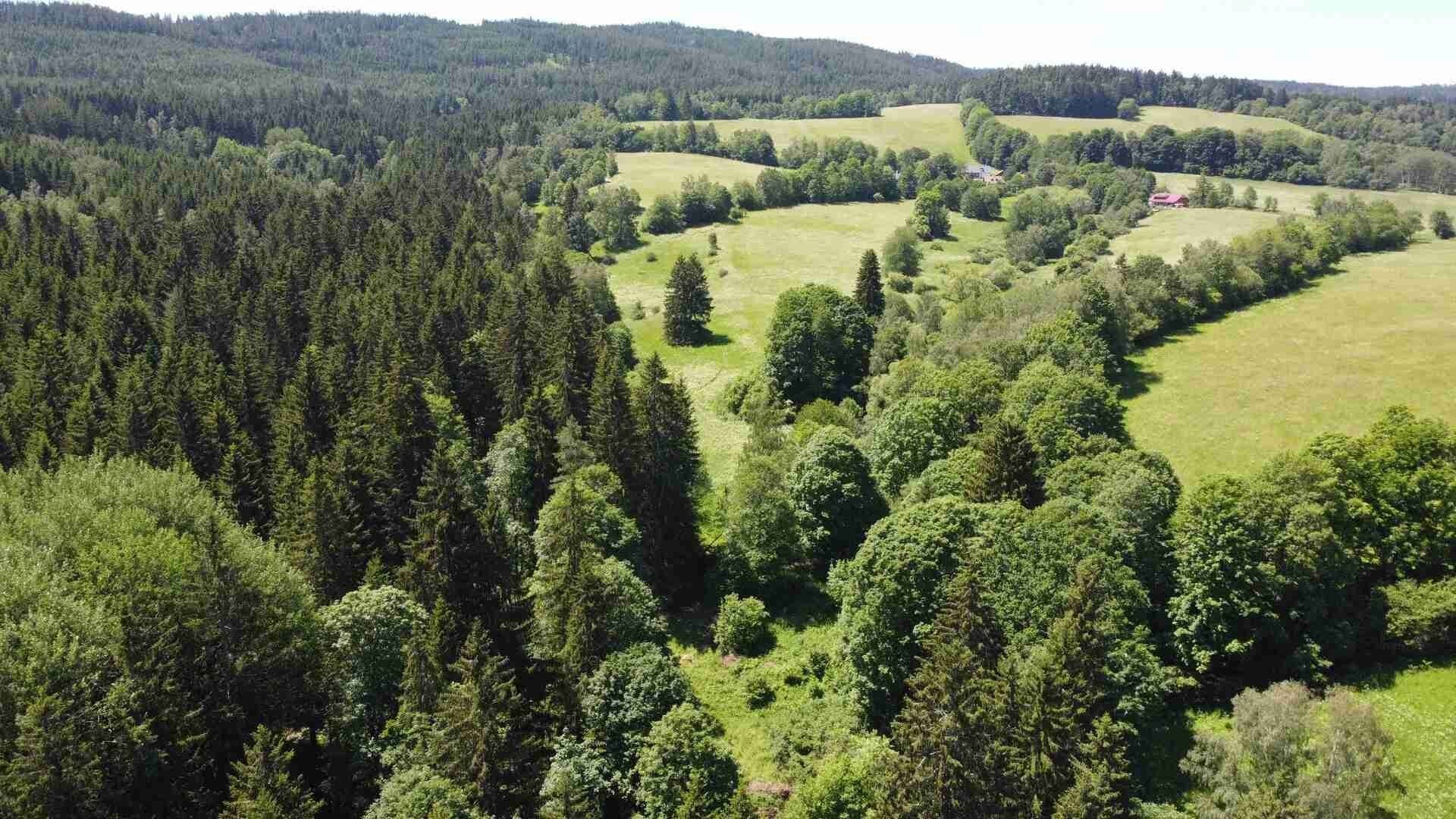 Prodej nemovitosti 9140 m² - foto 5