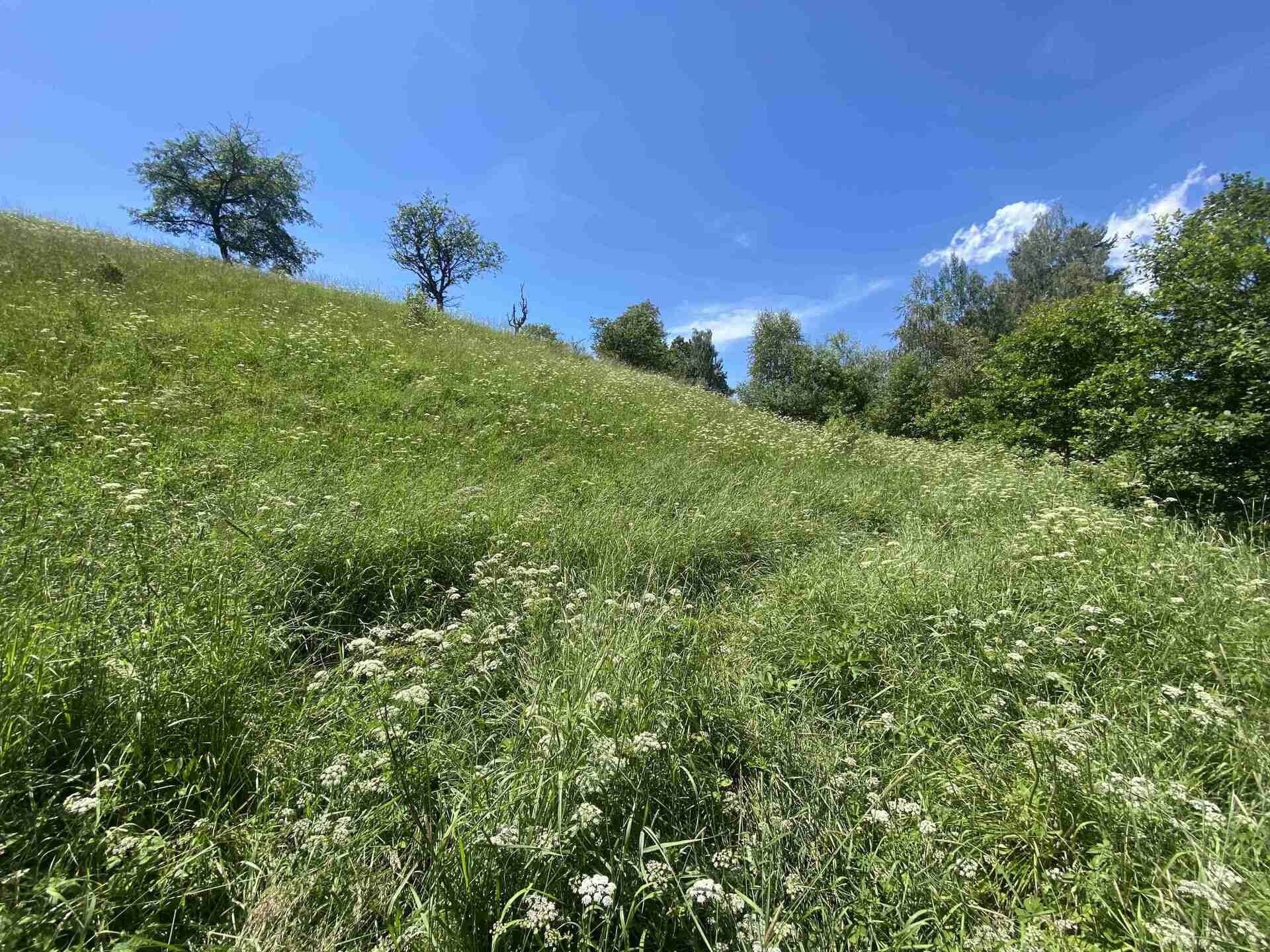 Prodej nemovitosti 9140 m² - foto 3