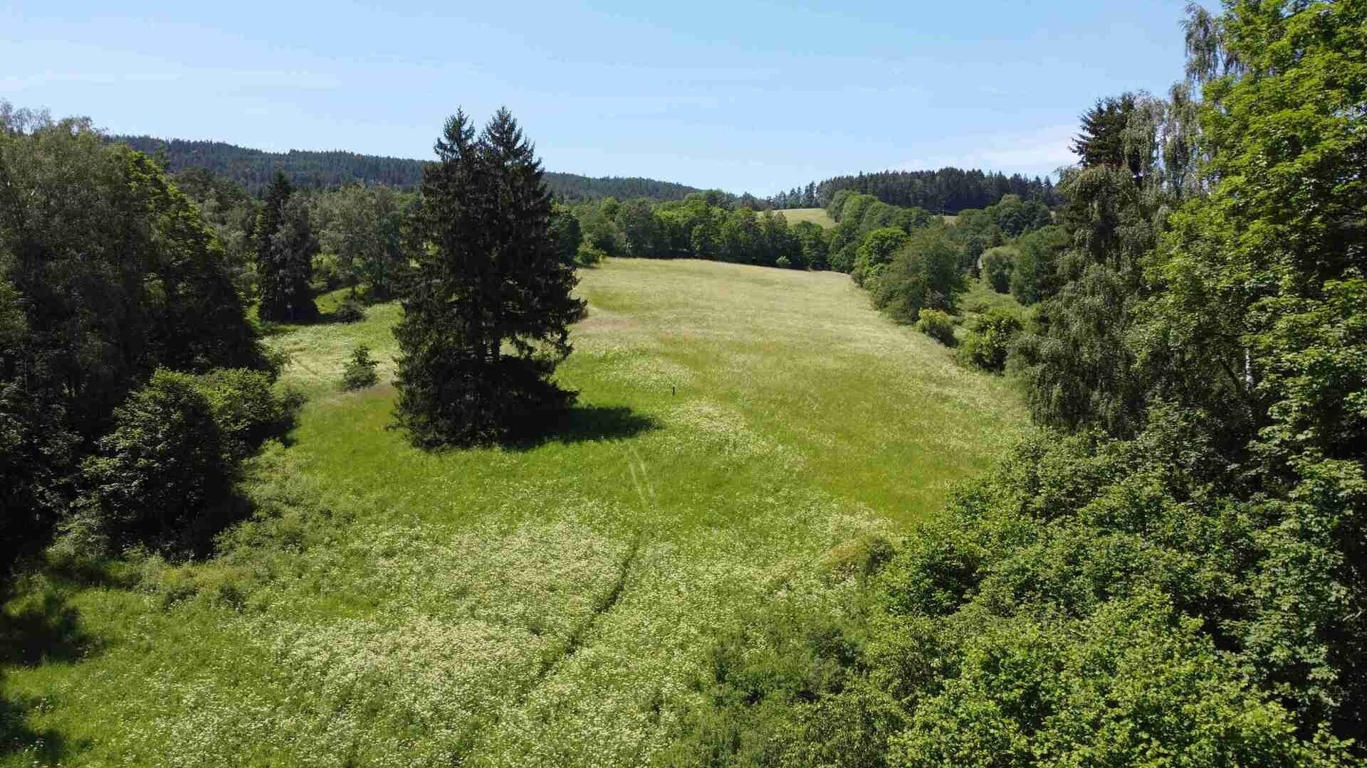 Prodej nemovitosti 9140 m² - foto 7