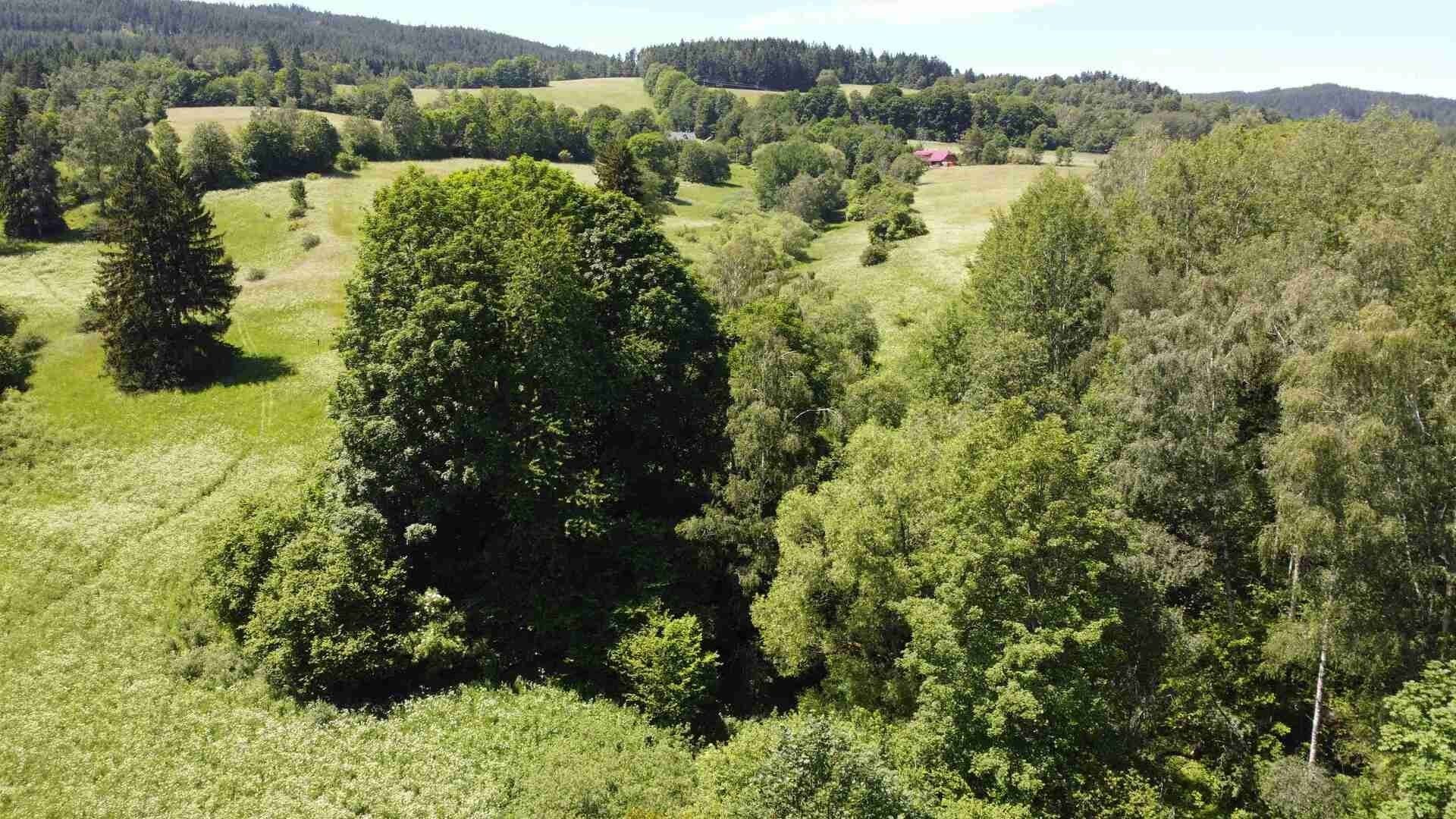 Prodej nemovitosti 9140 m² - foto 6