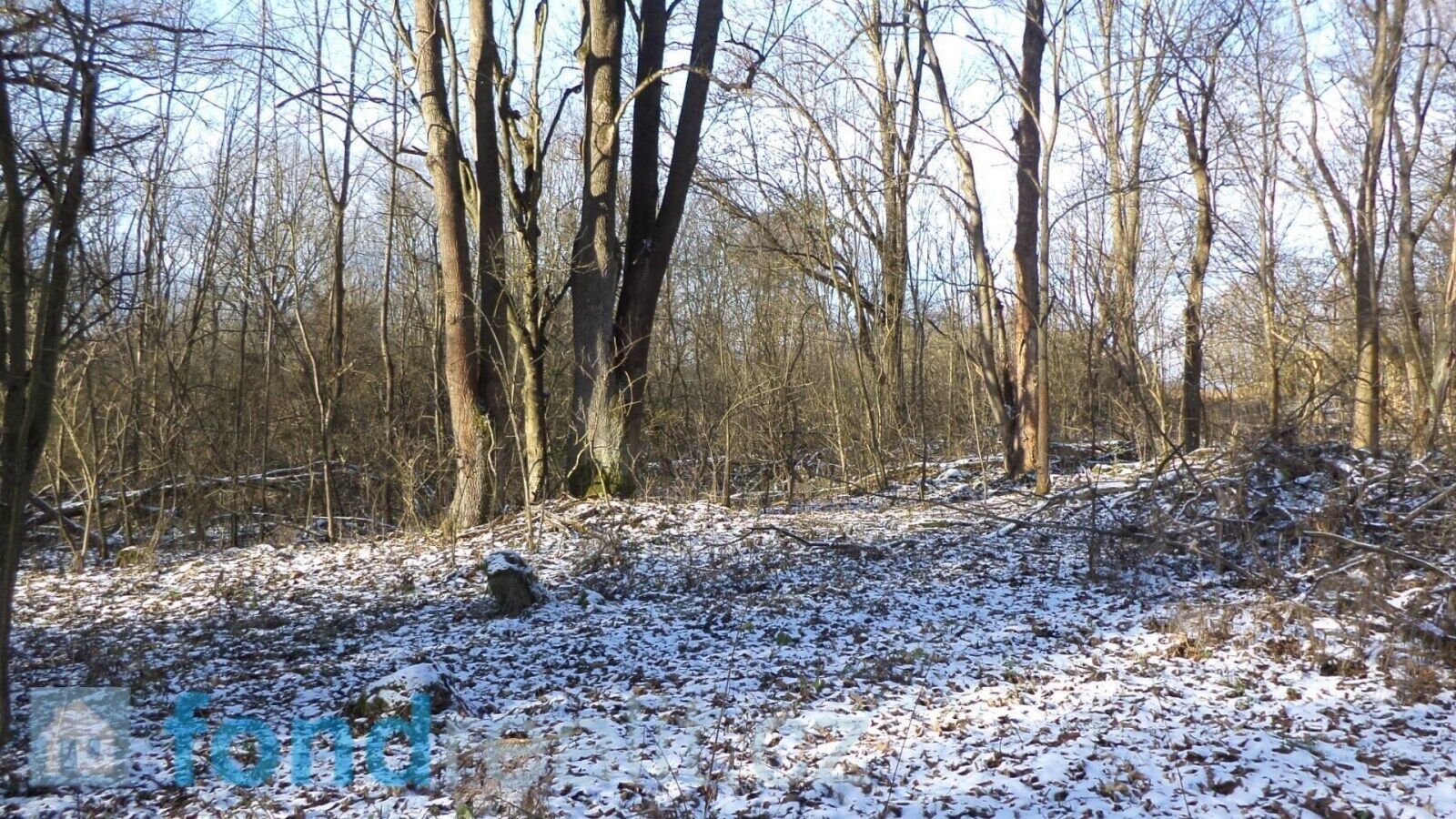 Prodej nemovitosti 3575 m² - foto 2