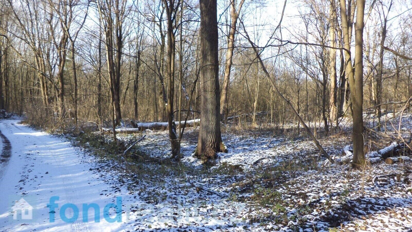 Prodej nemovitosti 3575 m² - foto 1