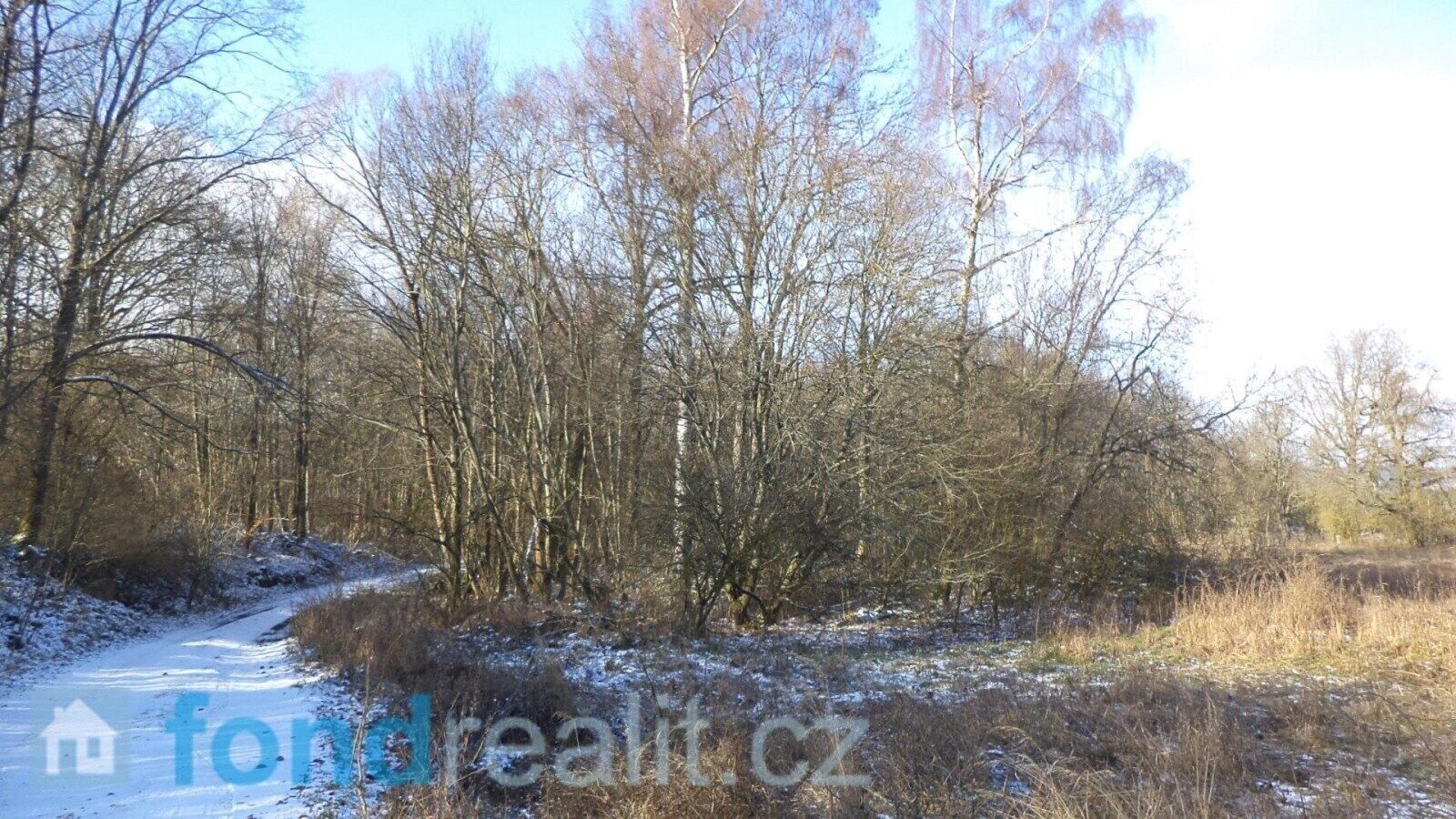 Prodej nemovitosti 3575 m² - foto 4
