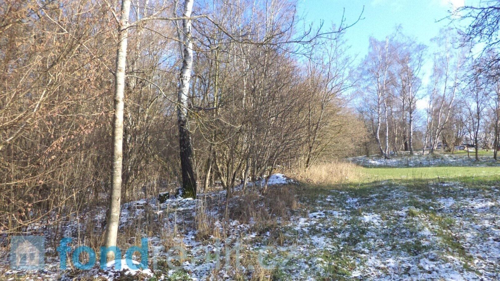 Prodej nemovitosti 3575 m² - foto 5