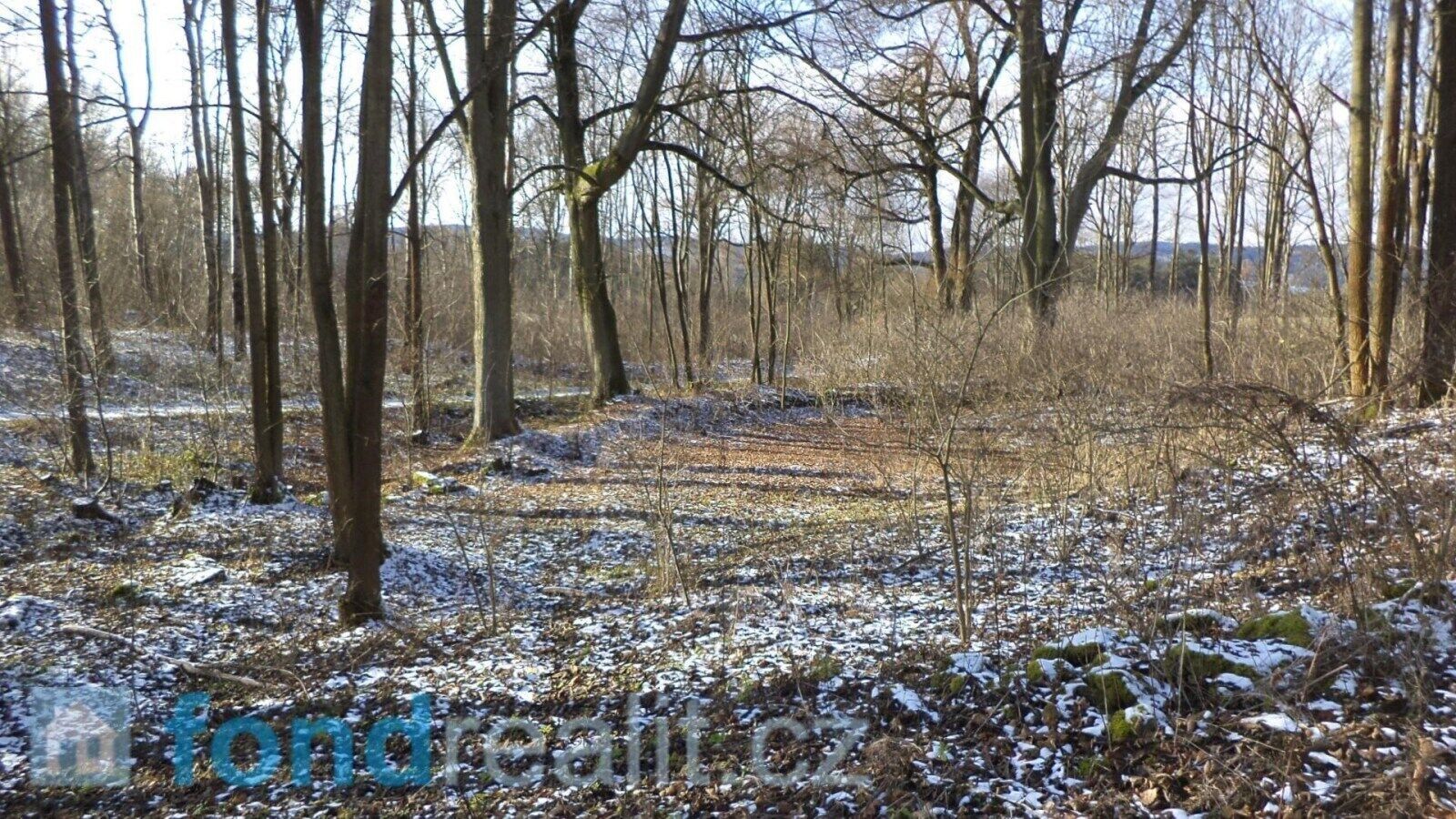 Prodej nemovitosti 3575 m² - foto 6