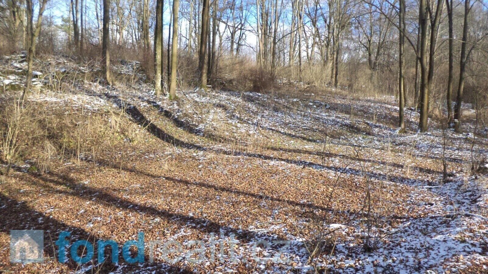 Prodej nemovitosti 3575 m² - foto 7