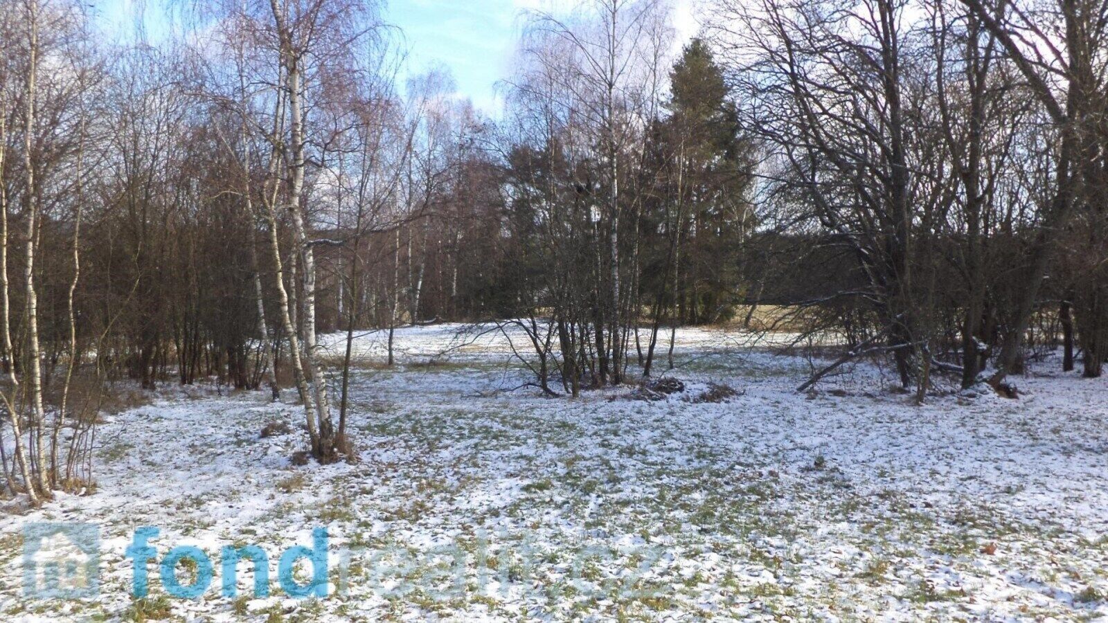 Prodej nemovitosti 3575 m² - foto 8
