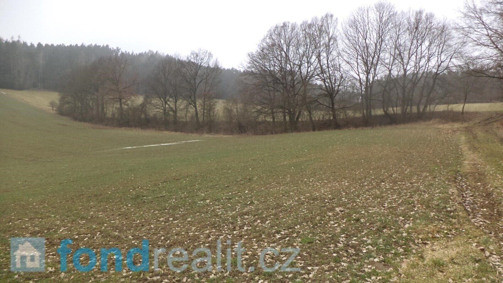 Prodej nemovitosti 1506 m² - foto 1