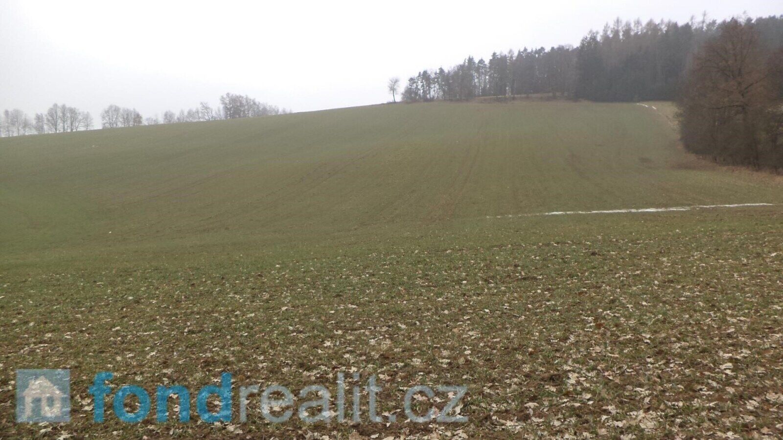 Prodej nemovitosti 1506 m² - foto 2